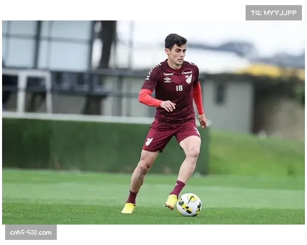 上海海港外援选择困境：六外援仅能报名五人，梅伦多或无缘中超起步阶段